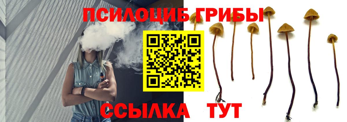 Псилоцибиновые грибы Psilocybe  Галлюциногенные грибы GOLDEN TEACHER  Канаш  Вход с VPN 